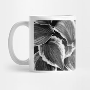 Hosta Leaves In The Rain 7 Mug